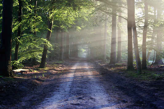 From Skeptic to Seeker: My Spiritual Journey