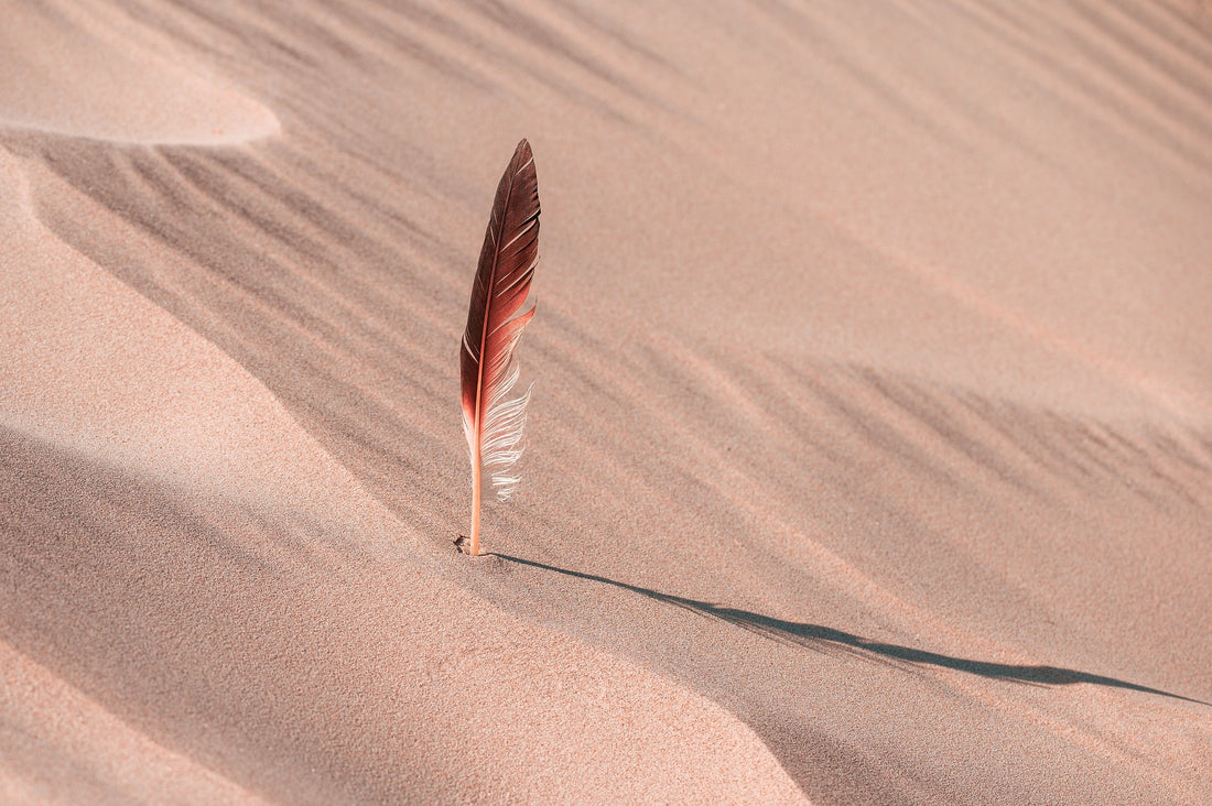 Spiritual Symbolism: Meaning of Different Feather Colors