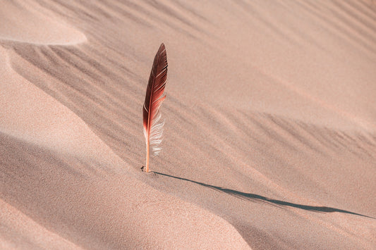 Spiritual Symbolism: Meaning of Different Feather Colors